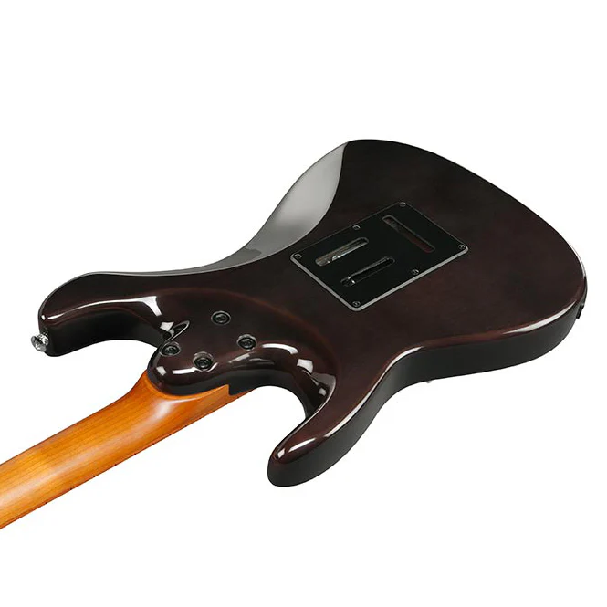 AZ22S1F-TKS Transparent Black Sunburst - Image 4
