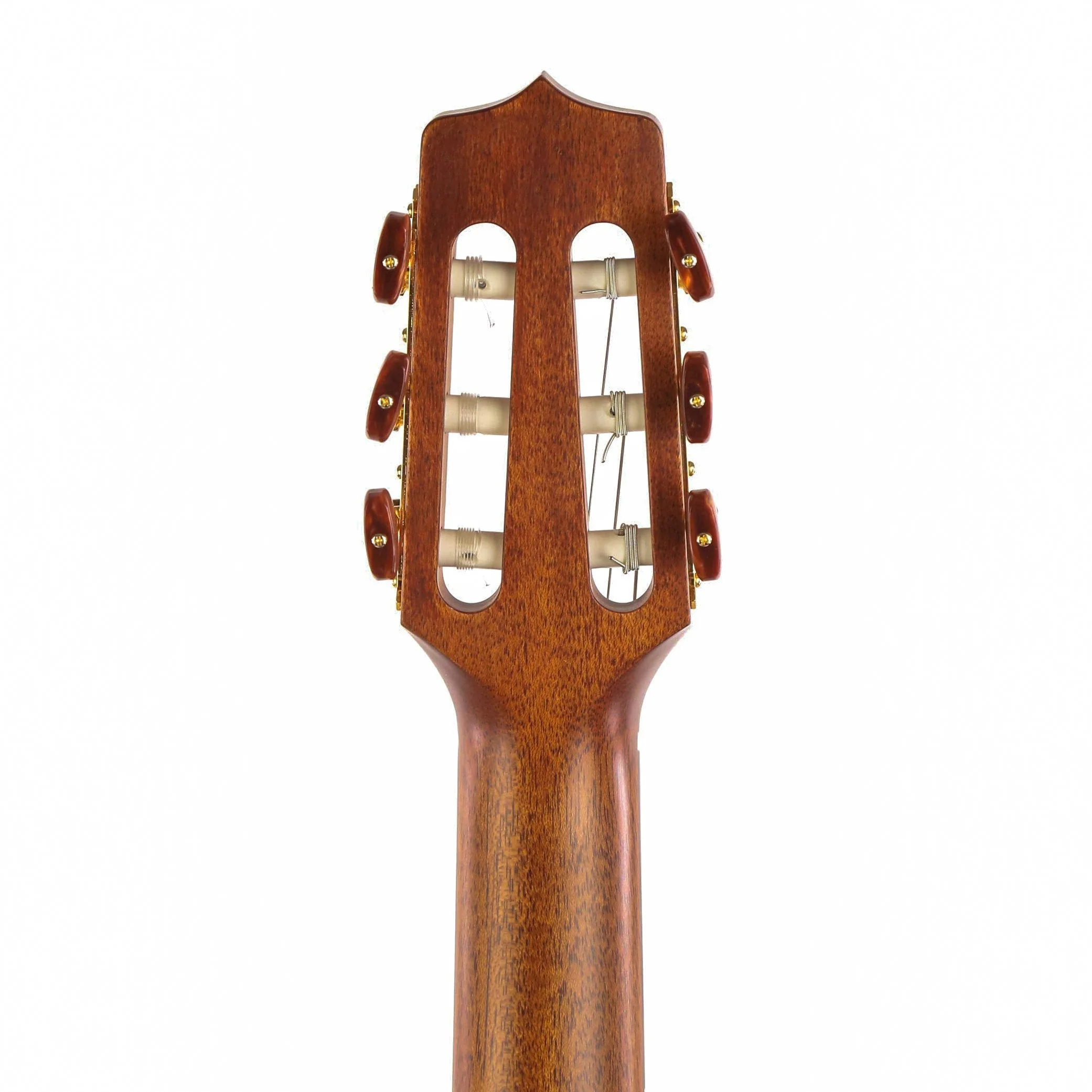 P3FCN - Image 6