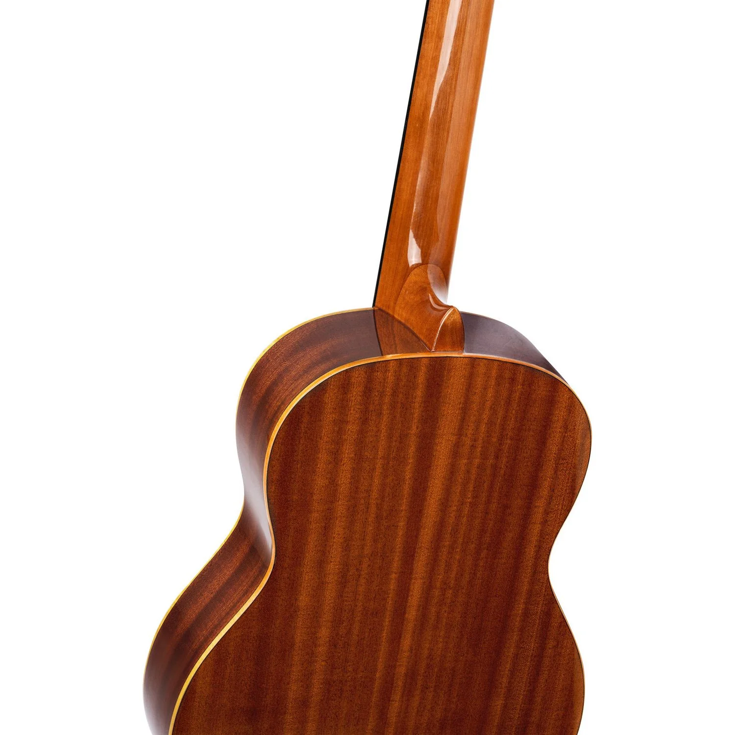 R122G Family Series Gloss - Image 4
