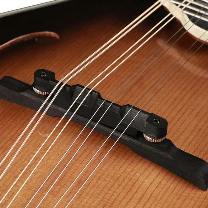 RMF-100-VS F-style mandolin - Image 10