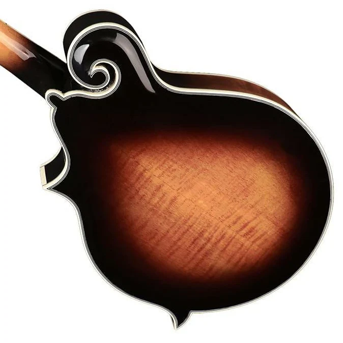 RMF-100-VS F-style mandolin - Image 3